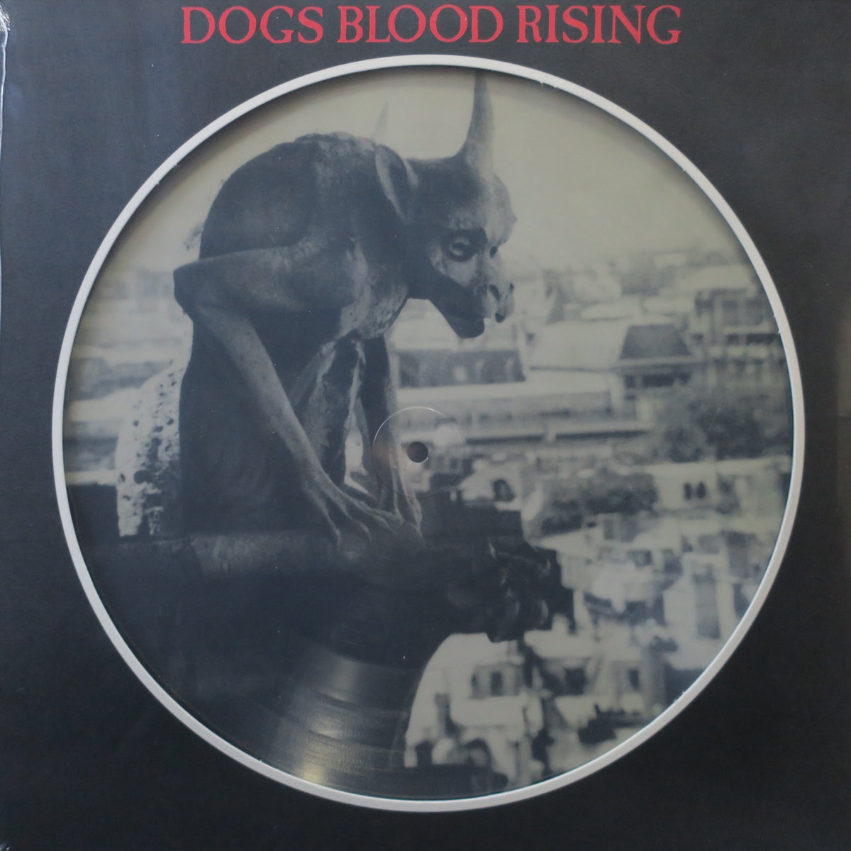 current93dogs1.jpg?crop=center 