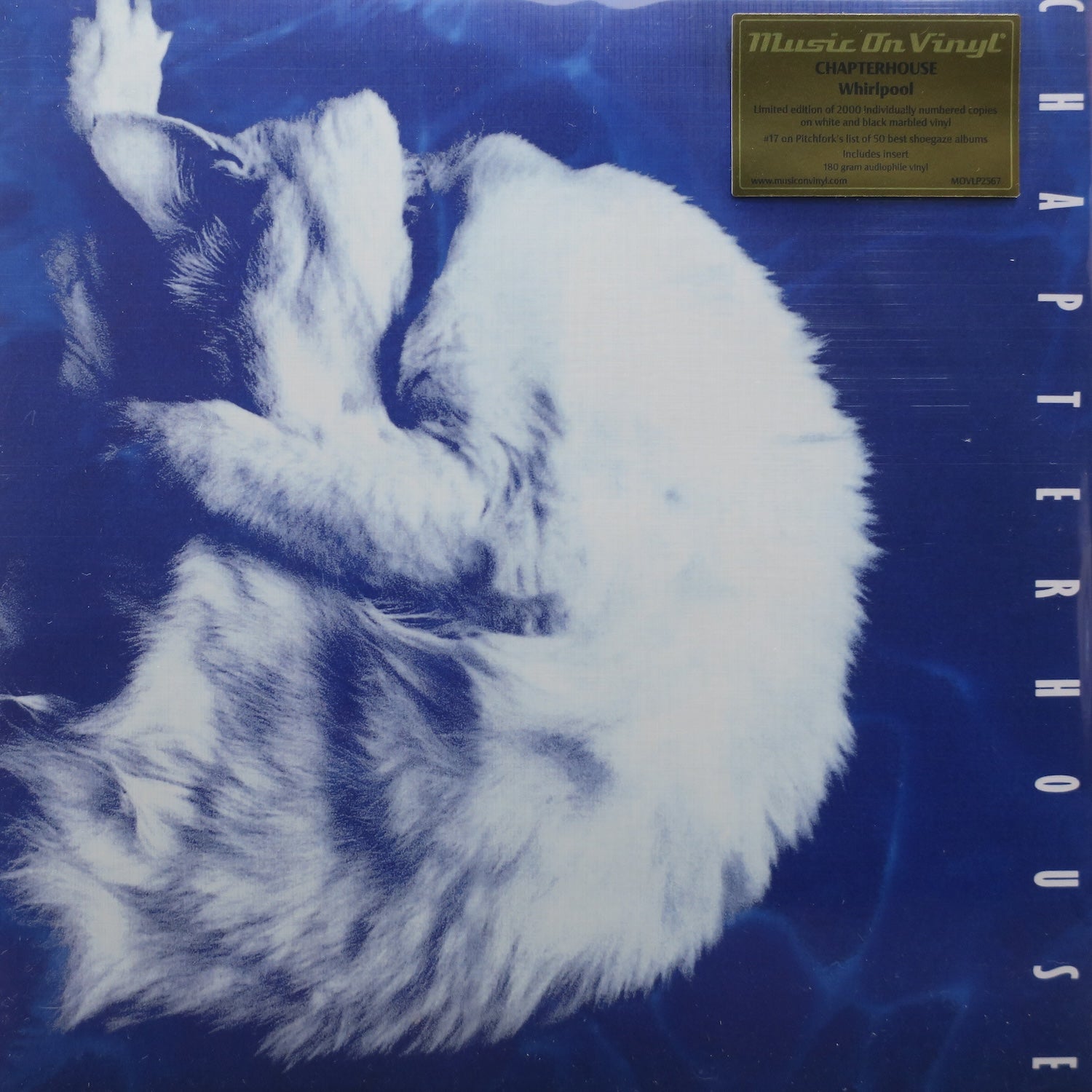 CHAPTERHOUSE 'Whirlpool' 180g WHITE Vinyl LP (1991 UK Indie