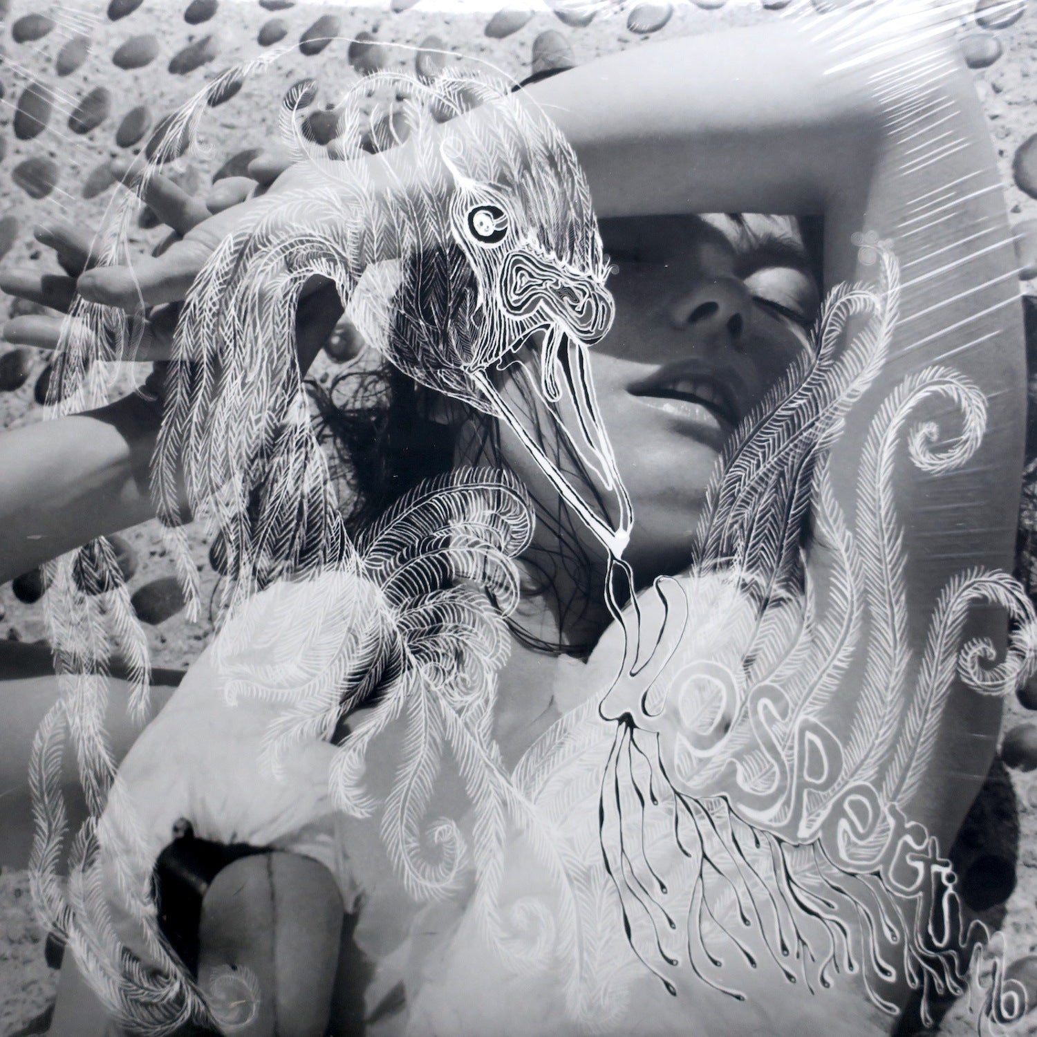 Björk – Vespertine 180g Vinyl 2LP – Goldmine Records
