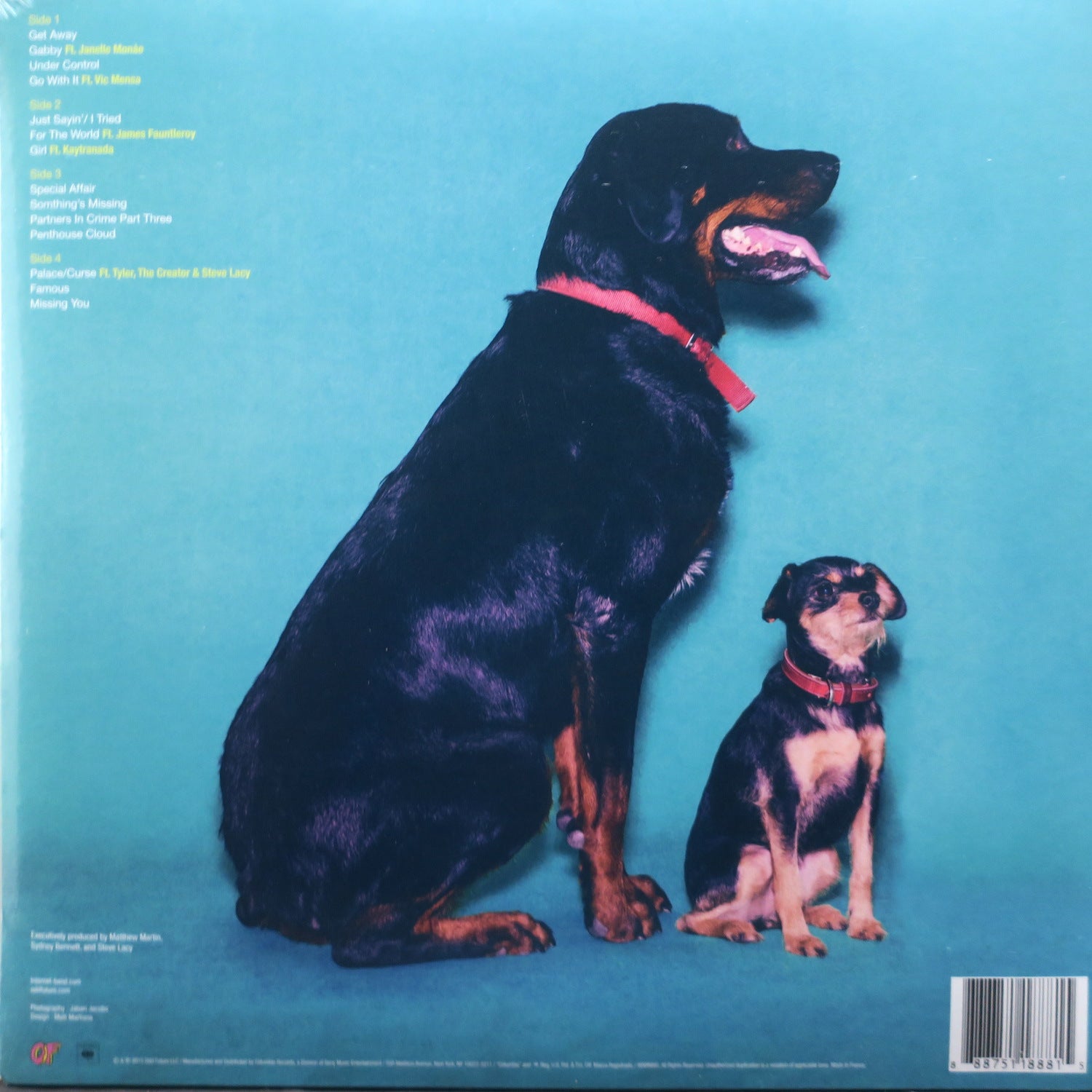 The Internet Ego Death レコード The Internet - Ego Death (Vinyl 2xLP)