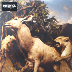 INTERPOL 'Our Love To Admire' BLACK Vinyl 2LP