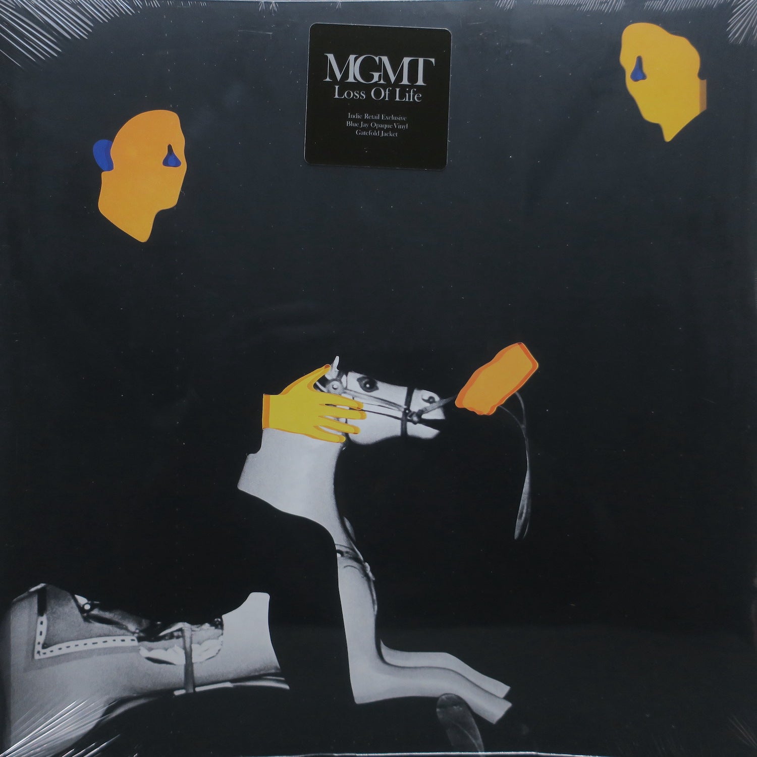 米LP MGMT Loss Of Life MP731 Mom + Pop, MGMT Reco /00400 MGMT - Loss Of Life on CD, Vinyl LP | Rough Trade - (Orange