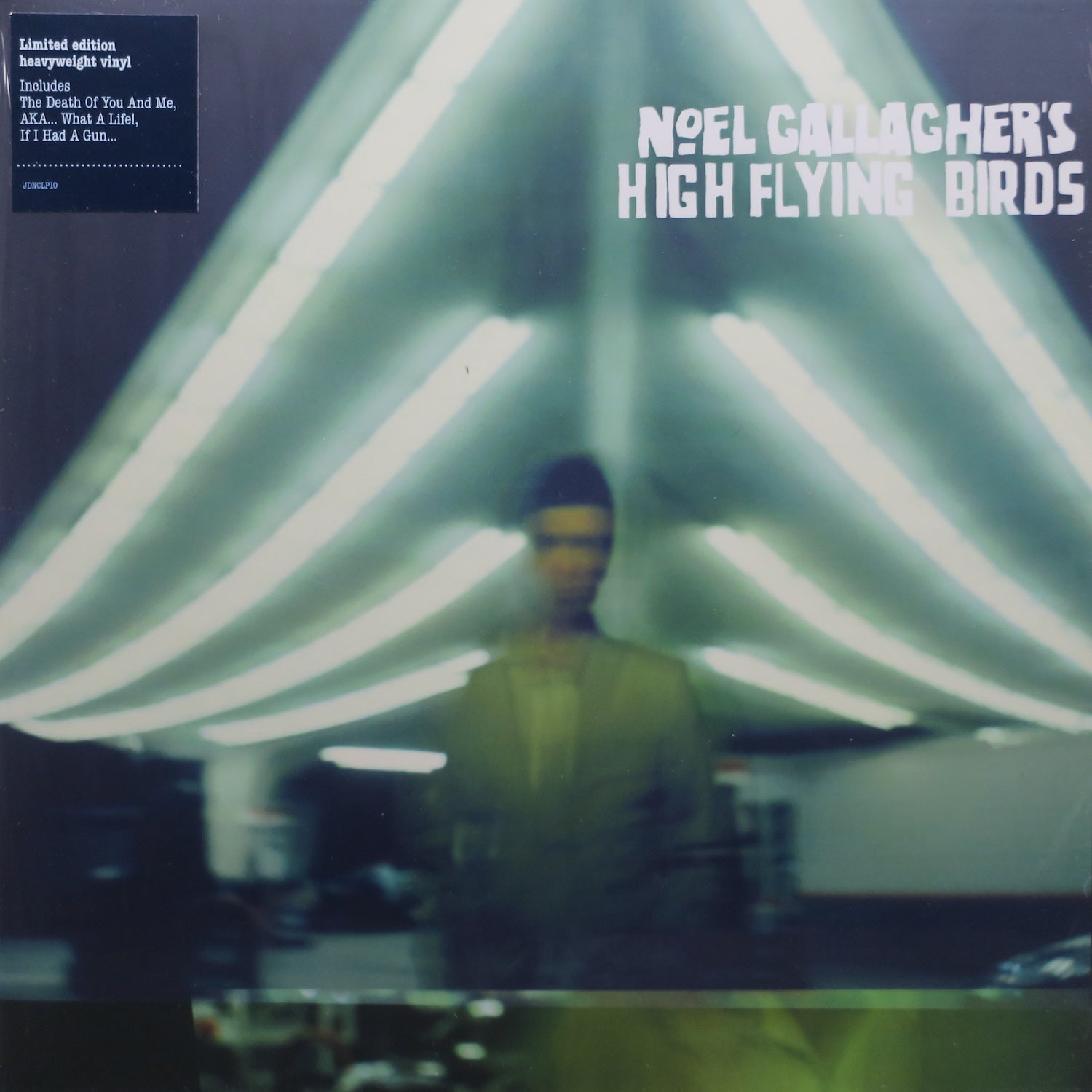 NOEL GALLAGHER'S HIGH FLYING BIRDS 's/t Vinyl LP – GOLDMINE