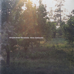 OREN AMBARCHI 'Grapes From The Estate' Vinyl LP (2004 Electronic/Minimal)