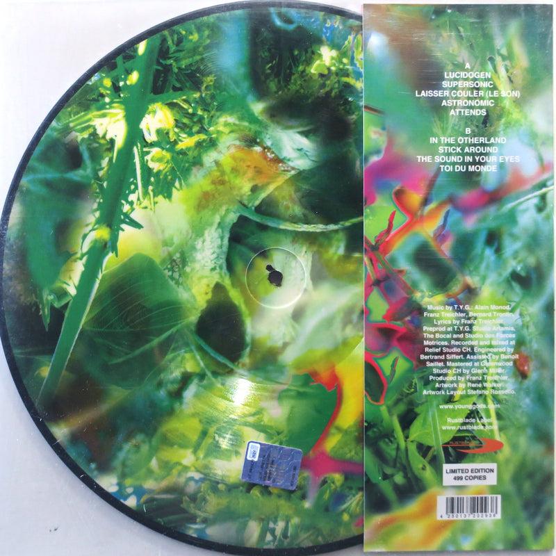 YOUNG GODS 'Second Nature' PICTURE DISC Vinyl LP
