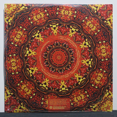 COIL 'Stolen & Contaminated Songs' 180g Vinyl 2LP