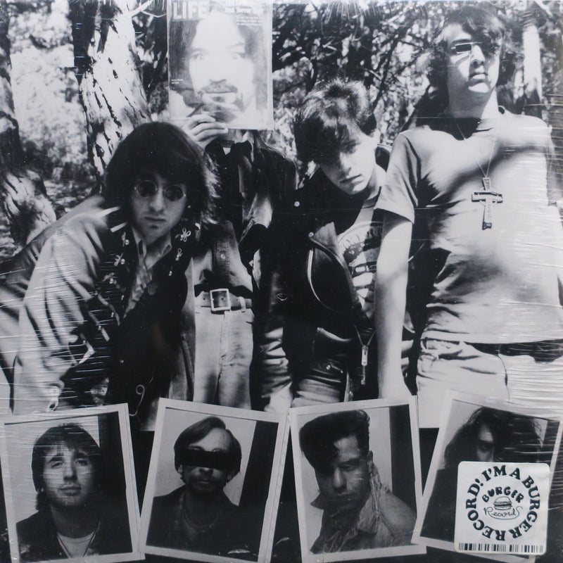 DWARVES 'Lick It 1983-1986' Vinyl 2LP