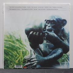 IAN BROWN 'Unfinished Monkey Business' 180g Vinyl LP