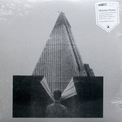 MOLCHAT DOMA 'S Krysh Nahsikh Domov' Vinyl LP (2017 Synth Pop/Post Punk)