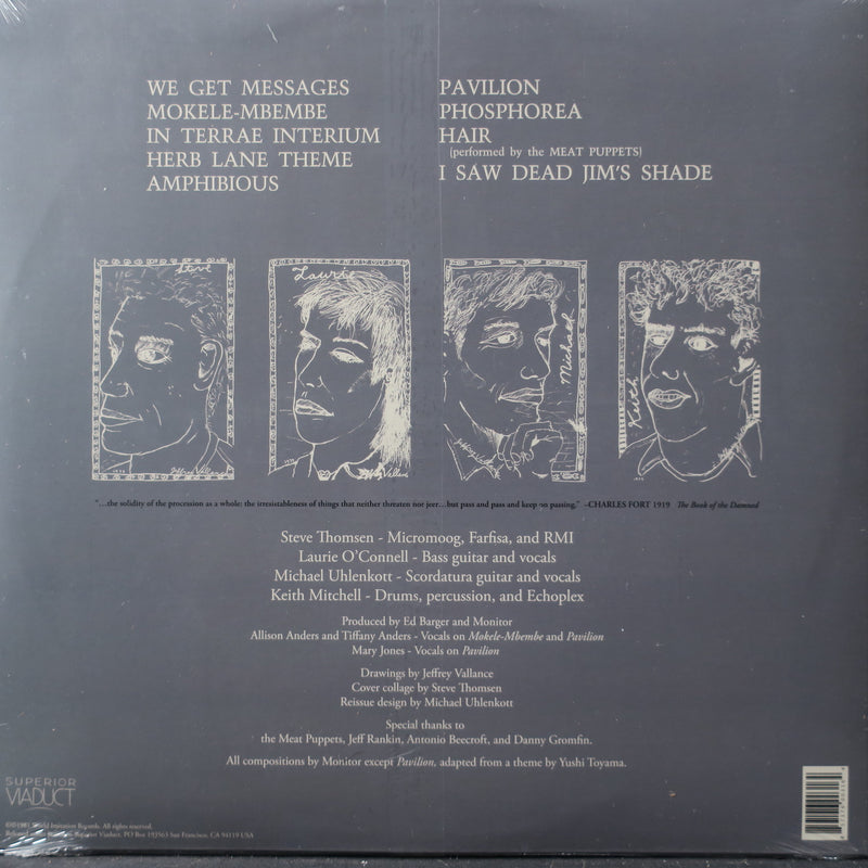 MONITOR 's/t' Vinyl LP (1981 New Wave/Experimental)