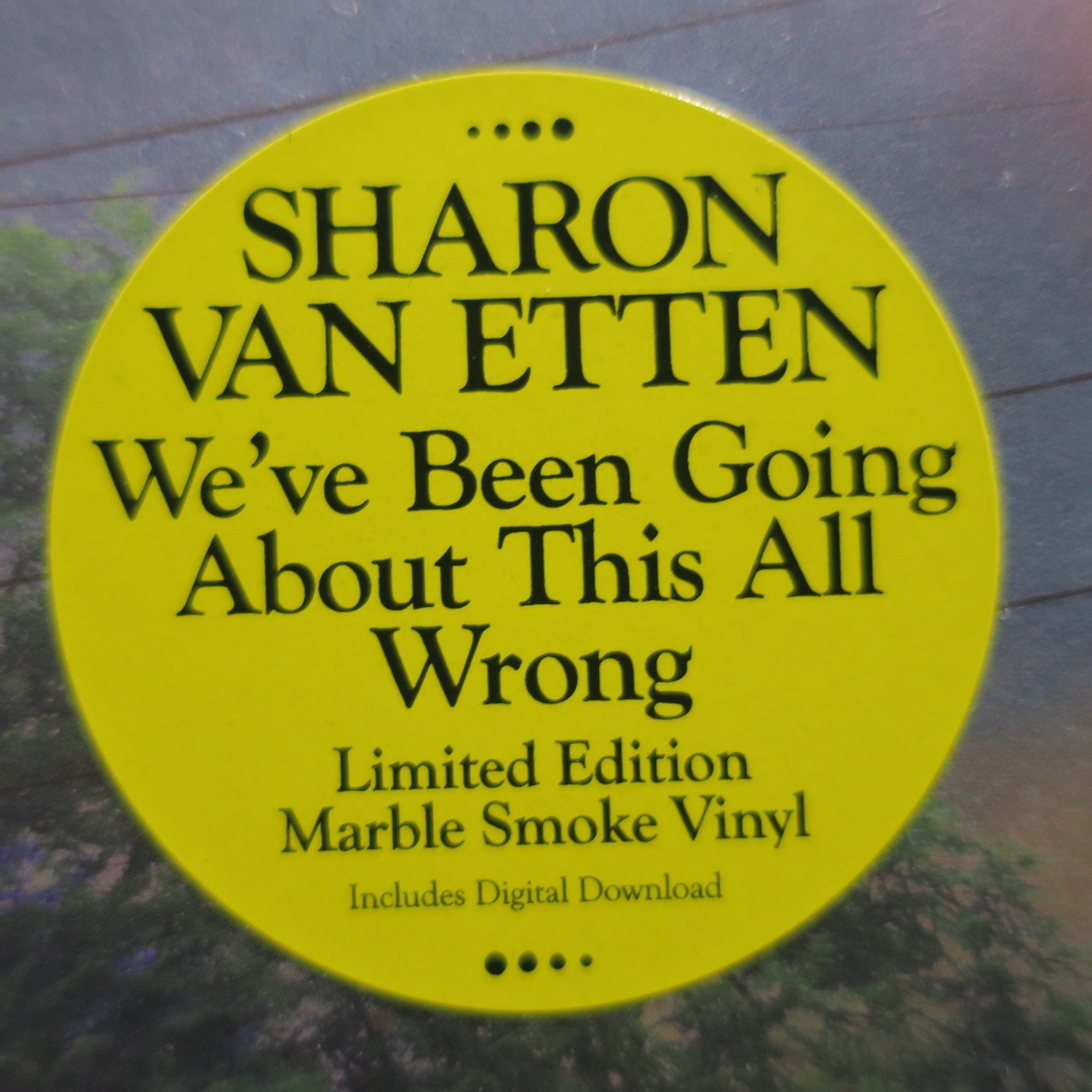 SHARON VAN ETTEN 'We've Been Going About This All Wrong