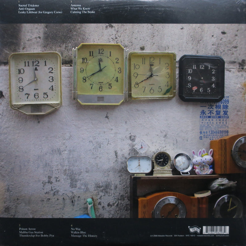 SONIC YOUTH 'Eternal' Vinyl 2LP